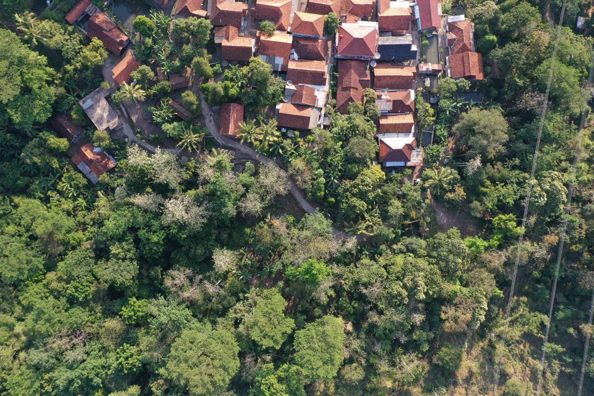 Rumah DM rt dekebonz agribusiness