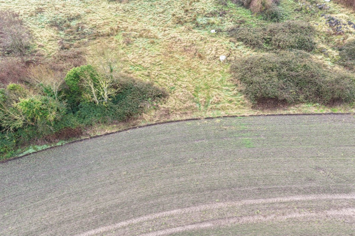 Former Site of the Sunday Well Lissenhall Nurseries