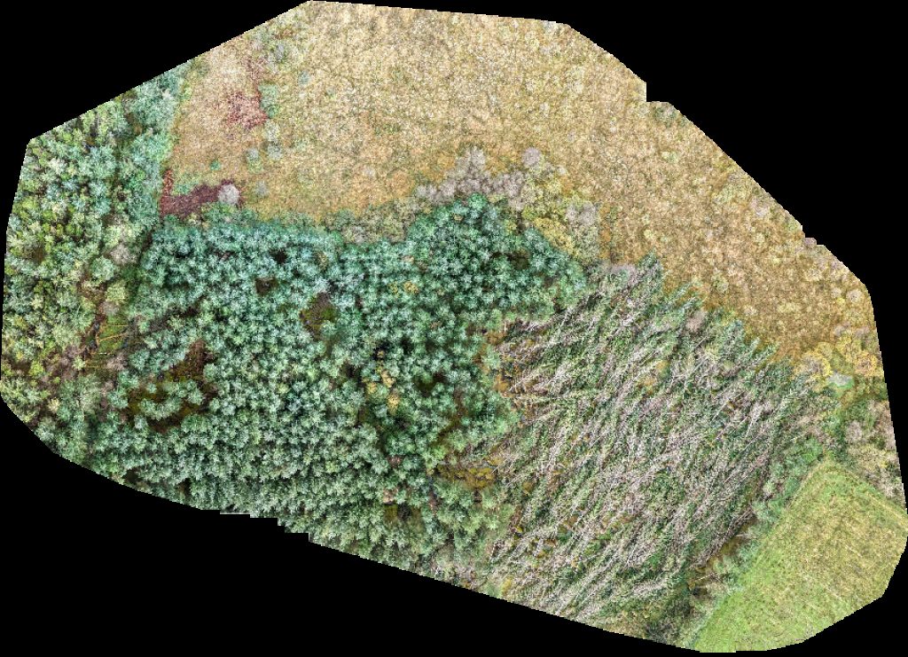 Newbridge Walking Trail Cunningham and Sons Heavy Recovery