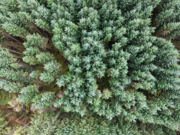 Newbridge Walking Trail Cunningham and Sons Heavy Recovery