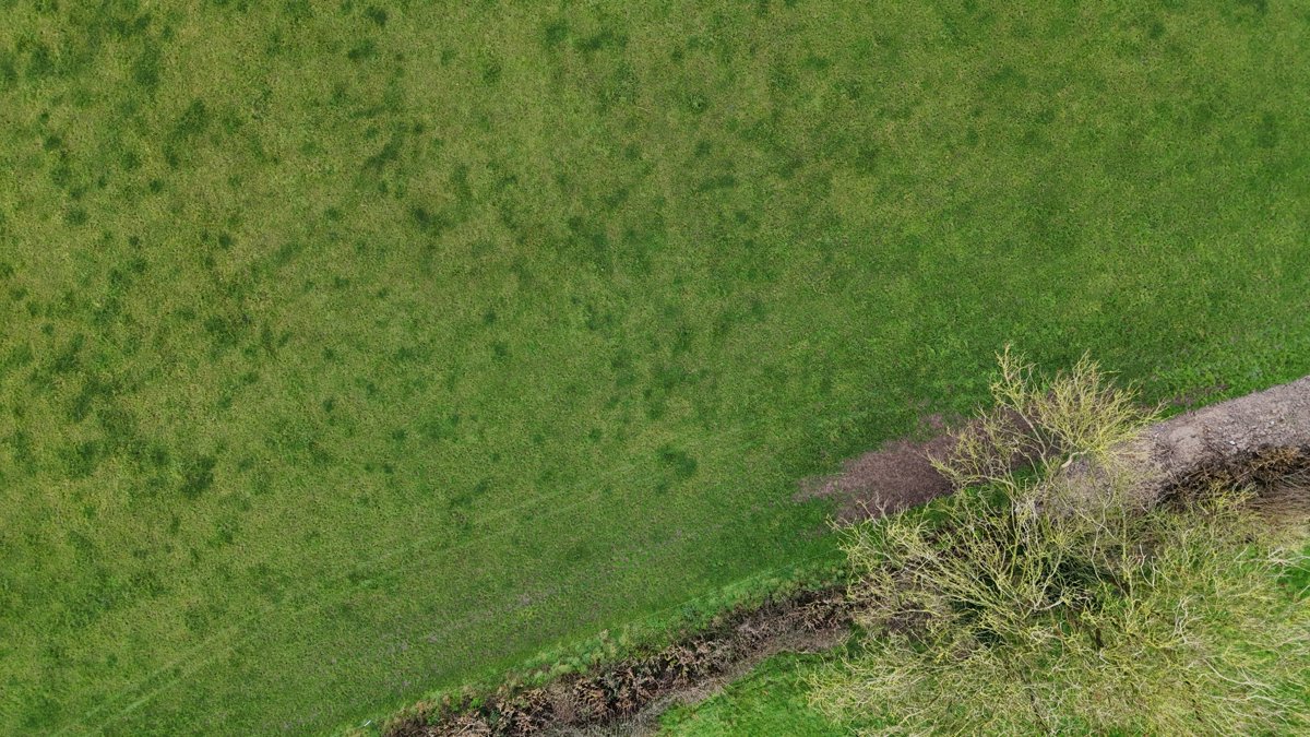 Aviator Haus Country Market