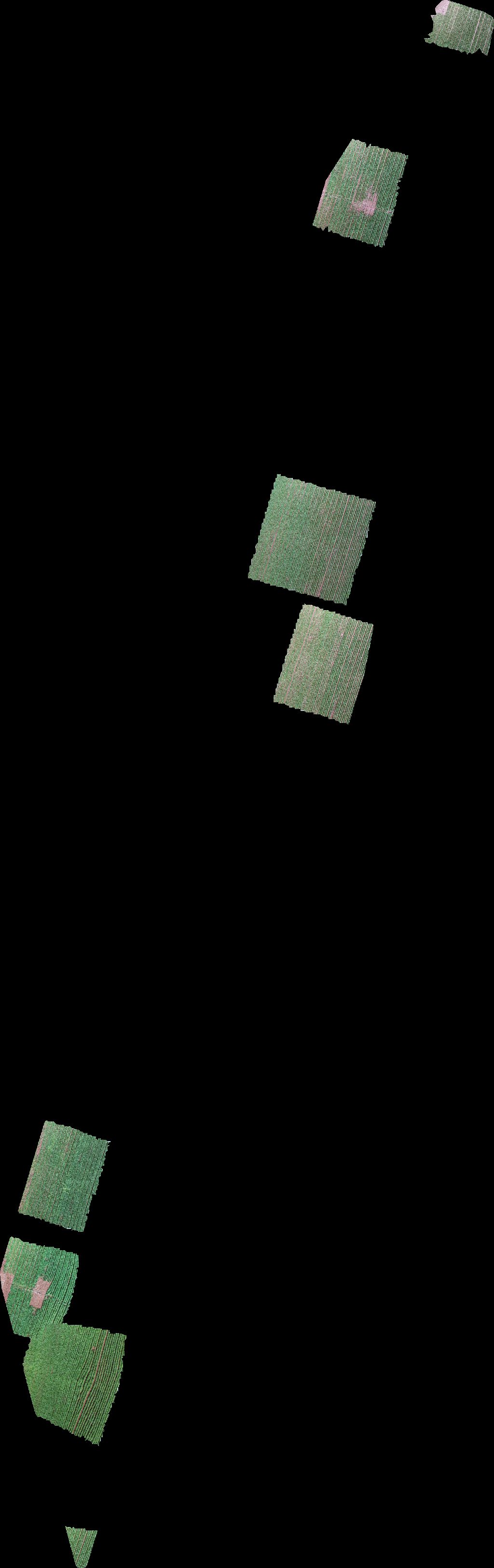 soccer field swimming pool