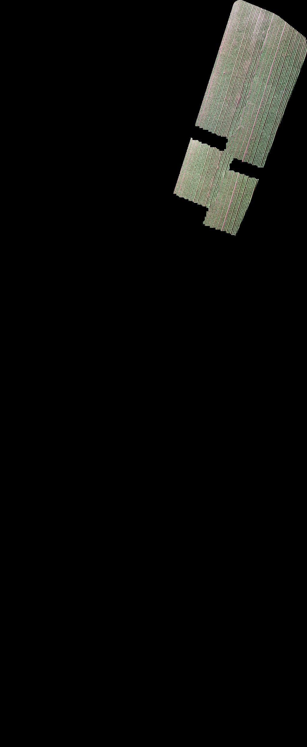 soccer field כללית