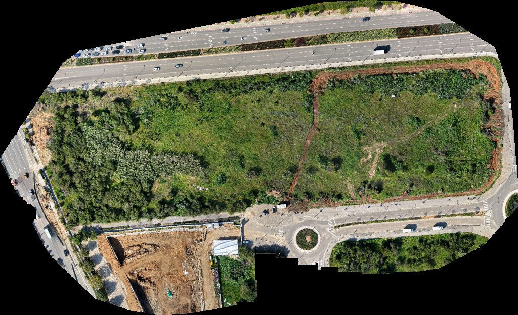 Results Group משה שמאי הומיאופתיה קלאסית