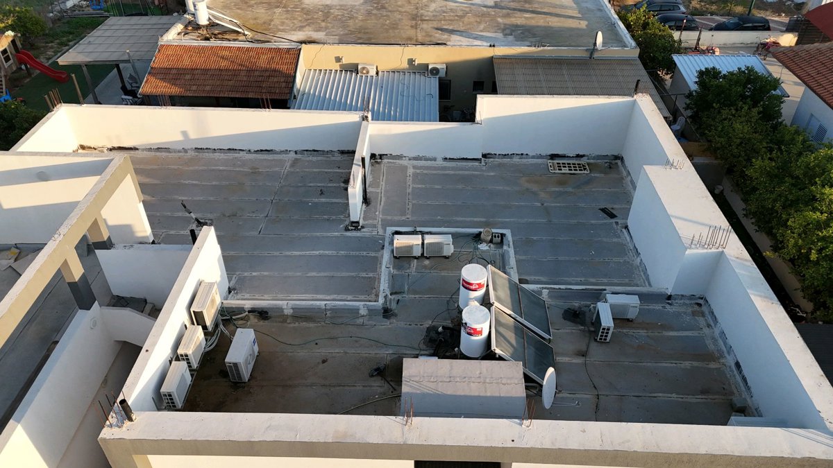 פנסיון דוג פלאנט בית הכנסת שערי ברכה