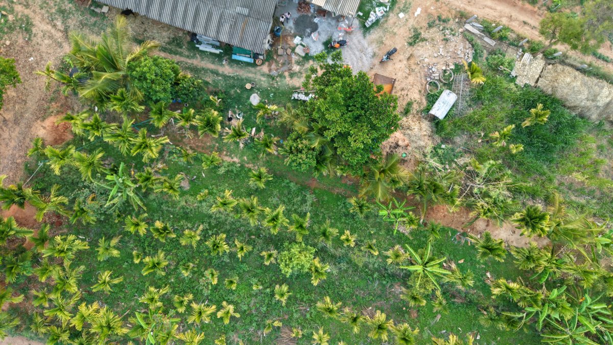 SAMRUDI FARMING AND ANIMAL HUSBANDRY ಅರ ಣ್ ತ ಟದ ಹ ಲ ಮನೆ