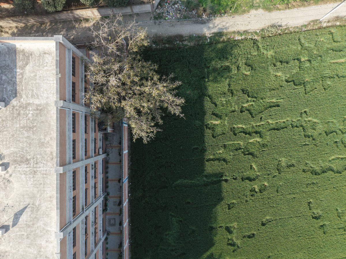 गवश ल मंद र Tejaji Temple Dudawas