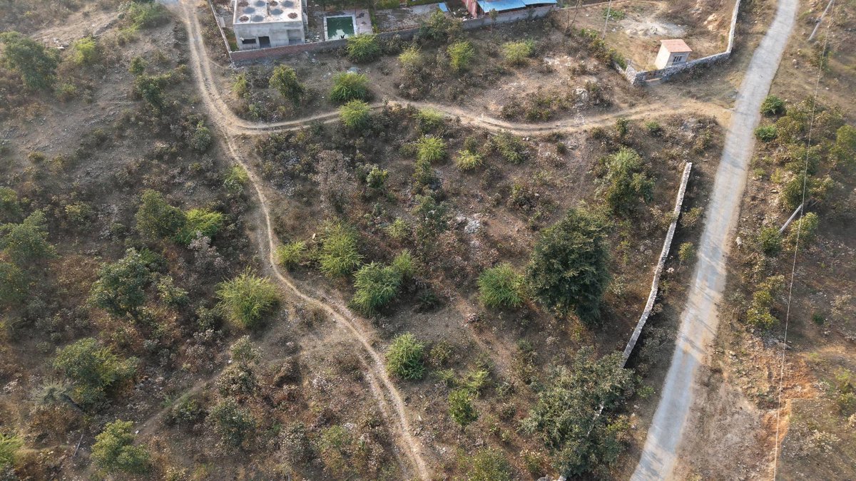 Farms 2 kanku Farm Kewra