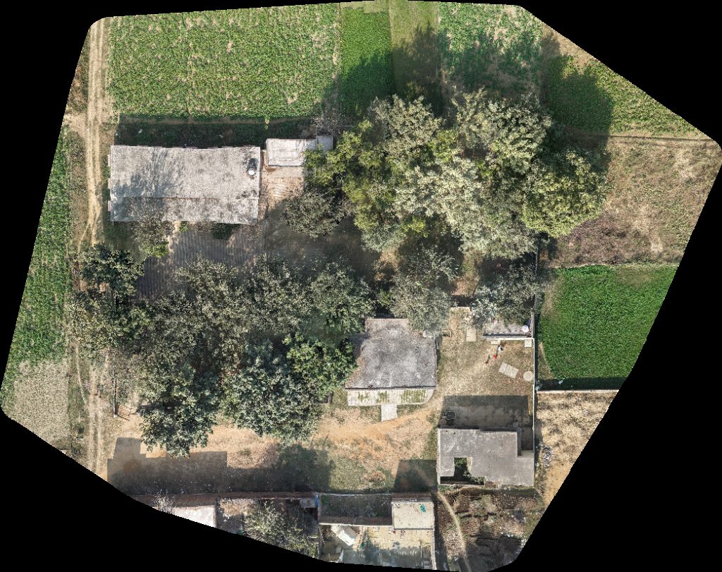 Junior High School Max medical agency