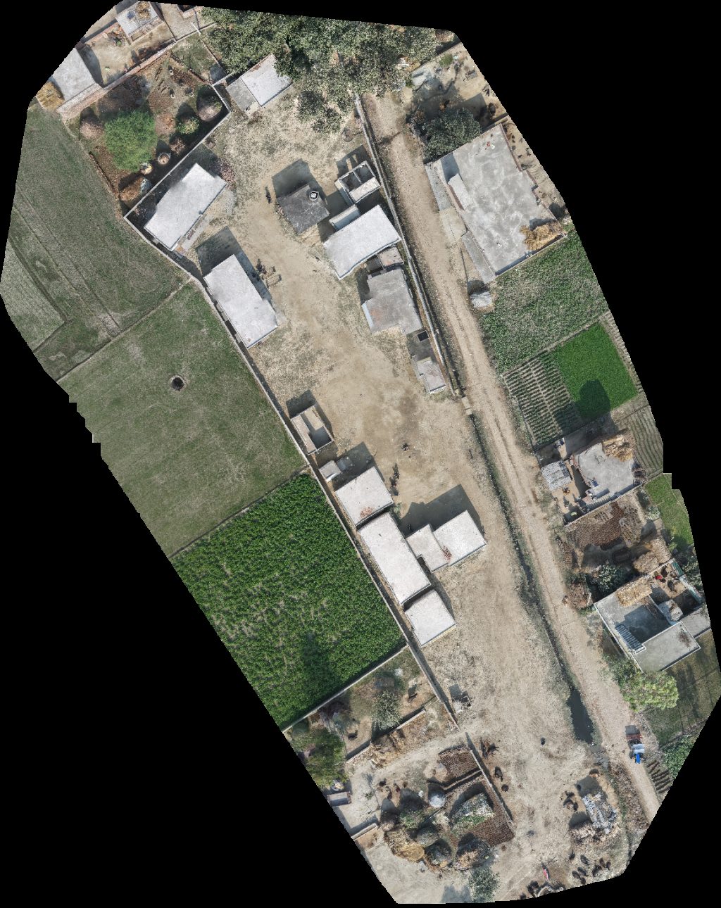 Mr Dharmendra Rana Royal home