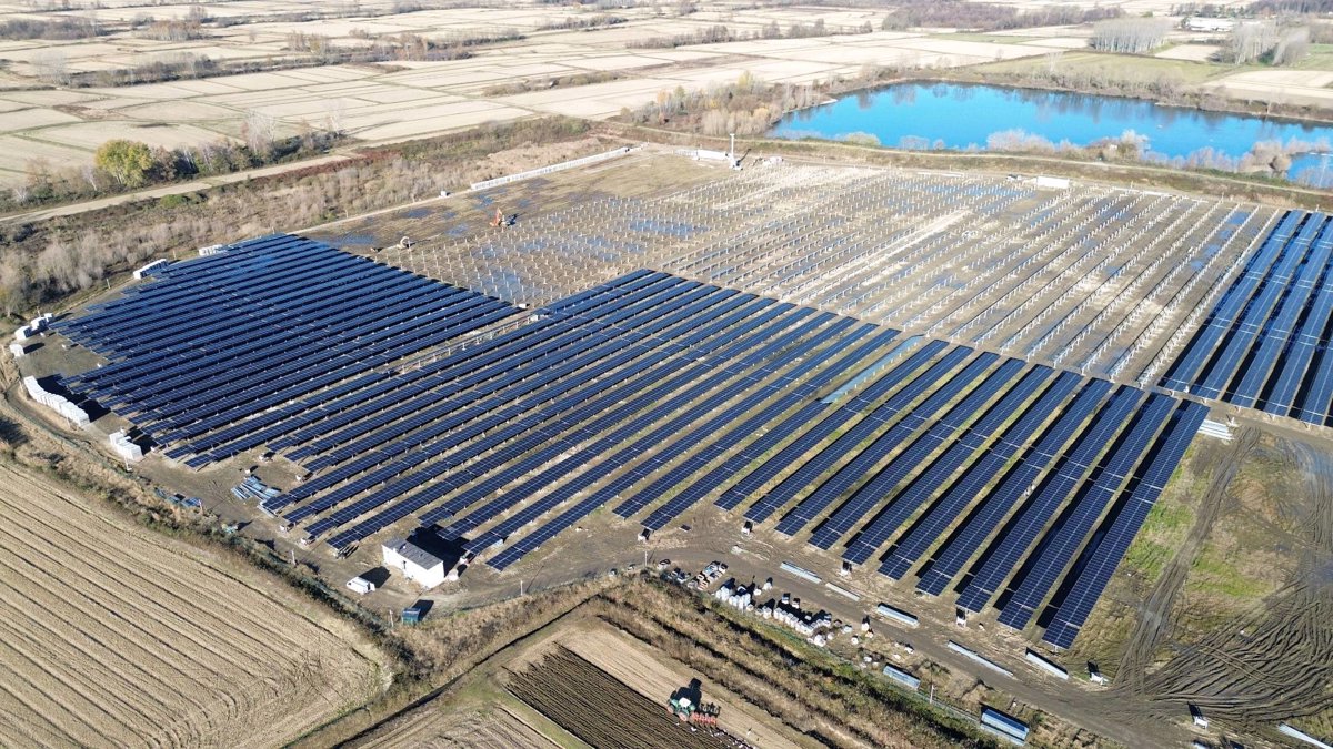 Falcone Management Car srl Az Agr Collesei Matteo