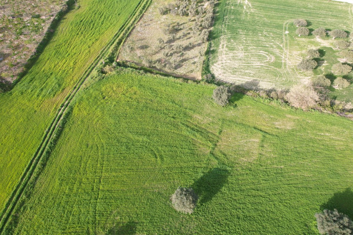 Valle del Sole Società agricola Appartamento in Villa Ottavia Holiday Home
