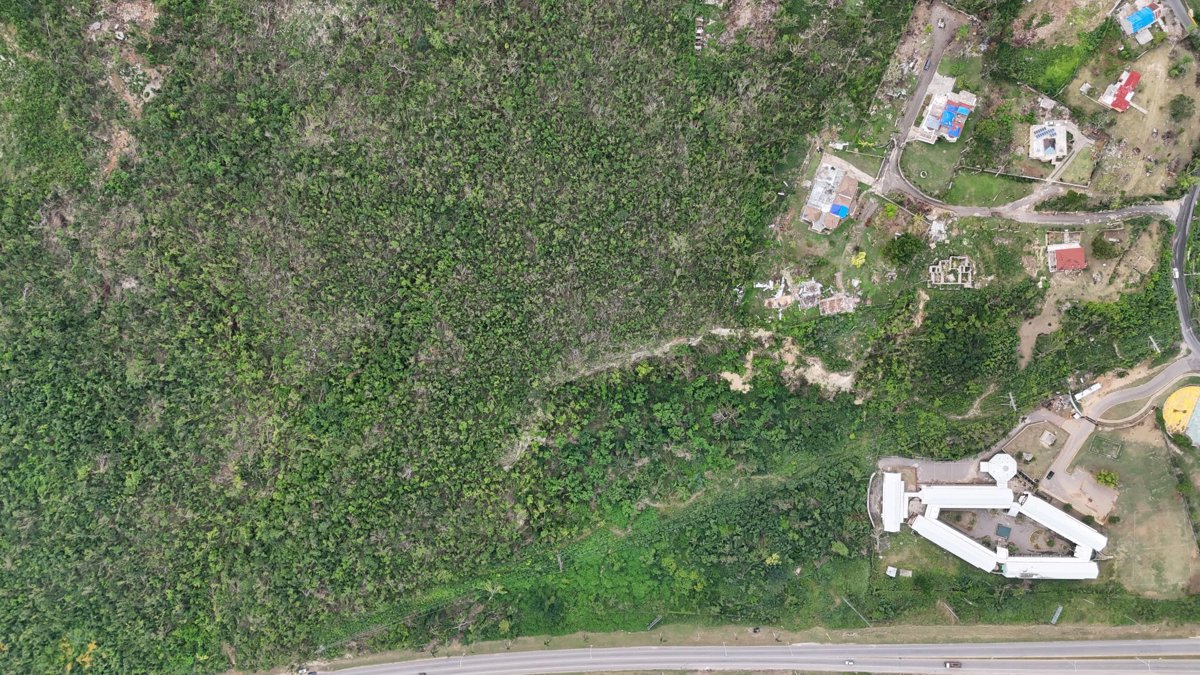 John Mullins Primary School Rollins Success