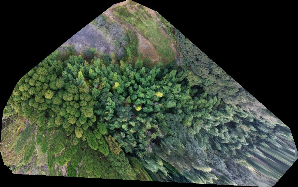 Batokannon Fujimototaki Park