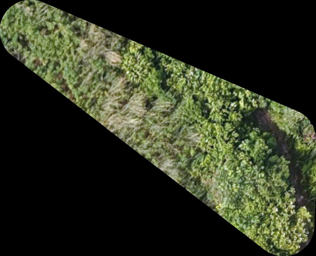 ທ້າຍສວນມັນ ລານມັນເຮຍເຮັງ ຍົມມະລາດ