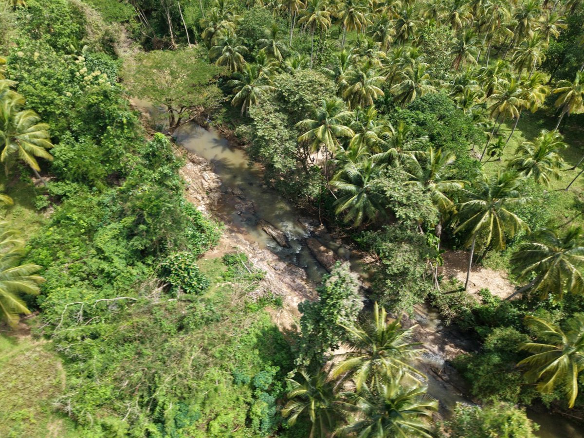 Polonnaruwa ද ල්විට ප ලම