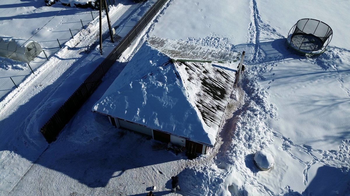 Deividas Andreika Spalvoti Sparnai