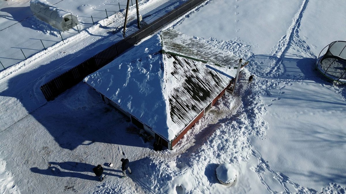 Deividas Andreika Spalvoti Sparnai