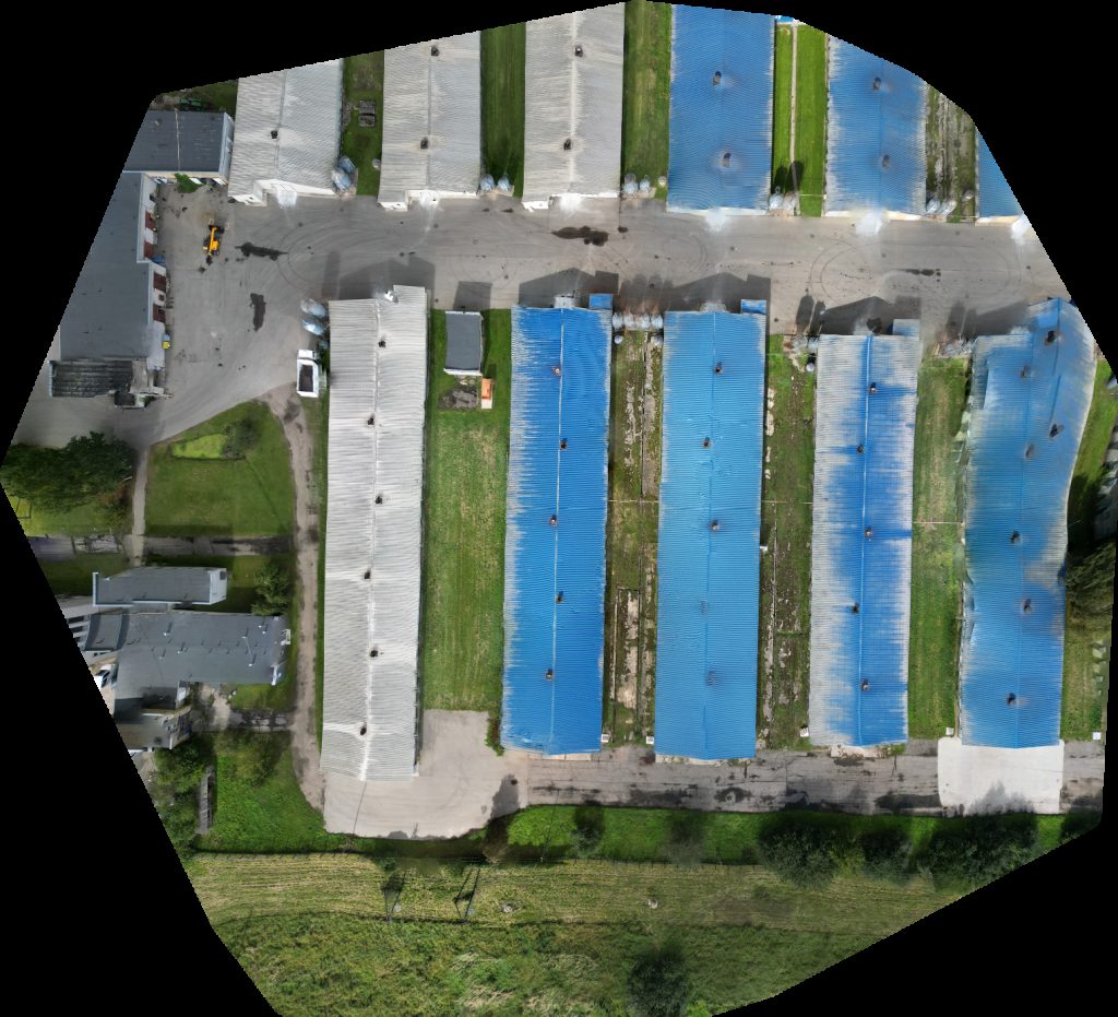 Alesninku paukstynas Zelvos ežero stovyklavietė Beržų sala