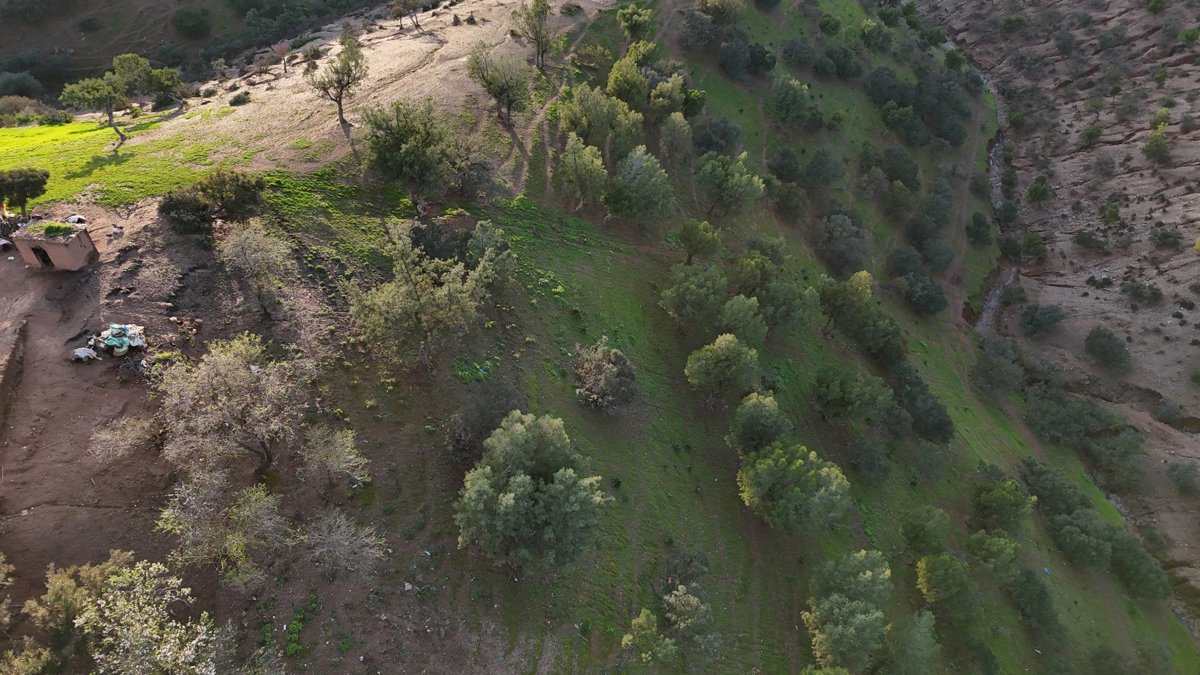 عين القرافي Qaloucha