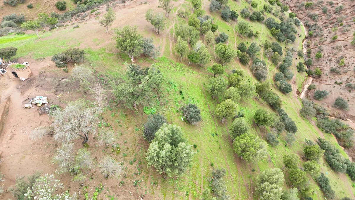 عين القرافي Qaloucha