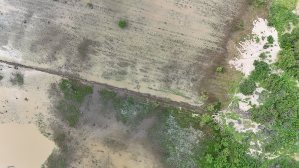 AVITA LIVING JOSE Garambullo 06