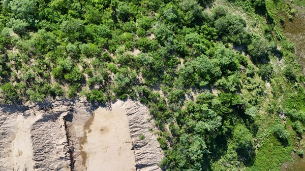 AVITA LIVING JOSE Garambullo 06