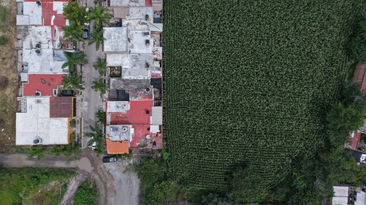 Organización Taekyon de Mexico Sucursal InNae Asociación Civil Leticia Fausto Contreras Por El Bienestar Social Las Familias