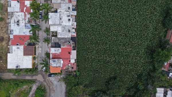 Organización Taekyon de Mexico Sucursal InNae Asociación Civil Leticia Fausto Contreras Por El Bienestar Social Las Familias