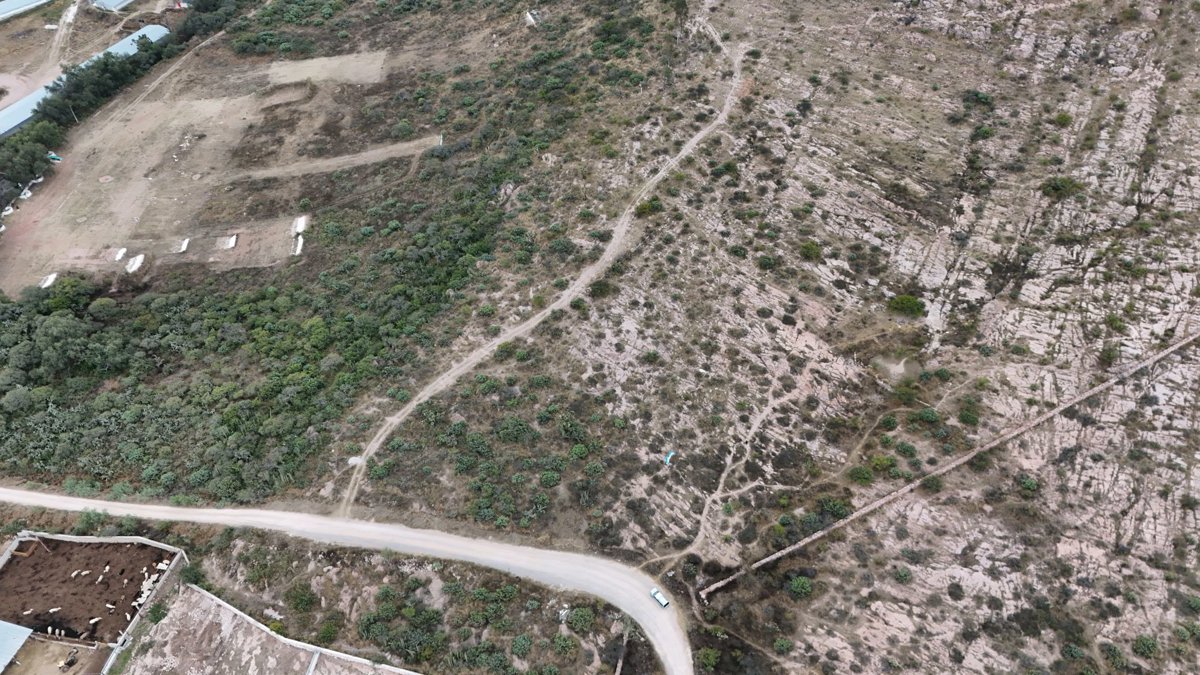 Pista MTB Mujer de Piedra Club caza Colon