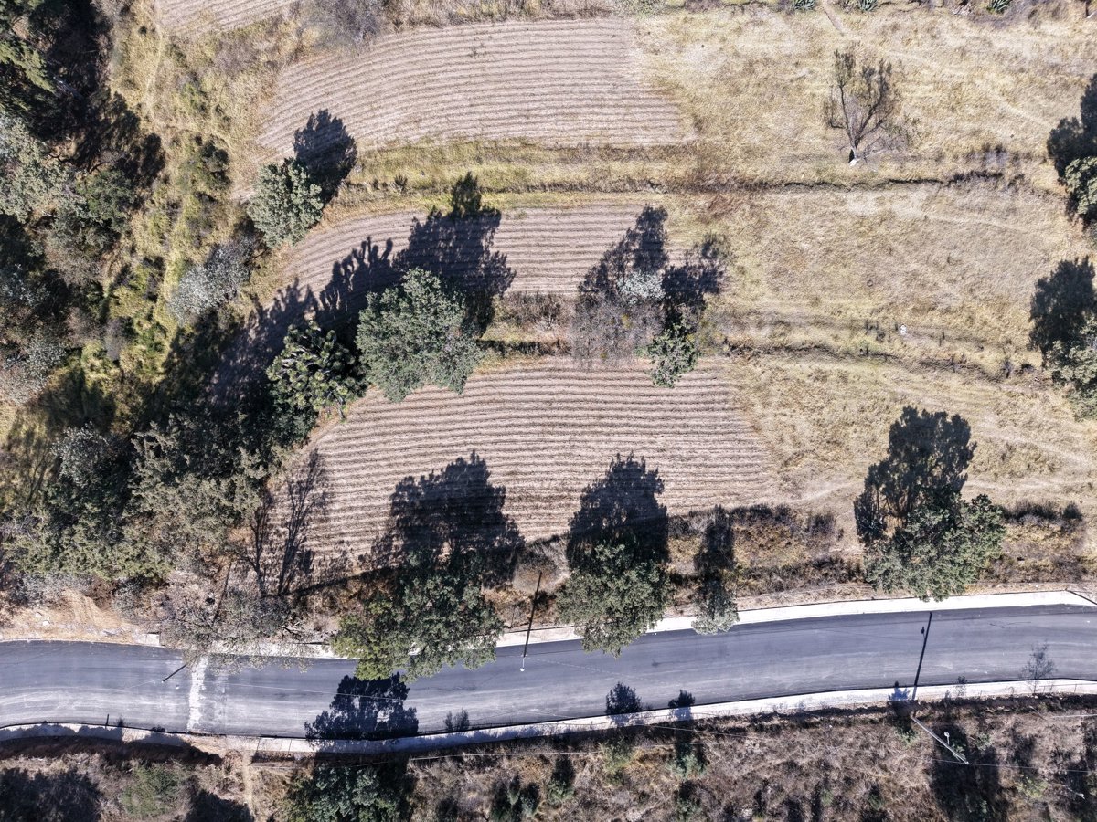 Instalaciones Eléctricas ALEAN EZOLLI A C Asociación de Hemofilia y Enfermedad von Willebrand Tlaxcala