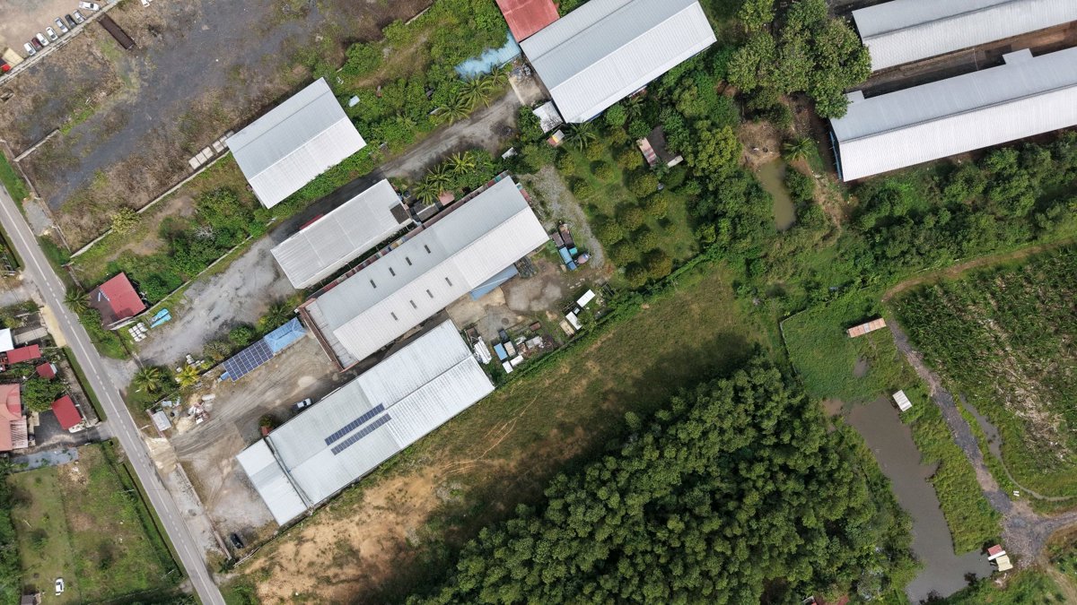 PPAM TAMAN PULASAN KEDAH