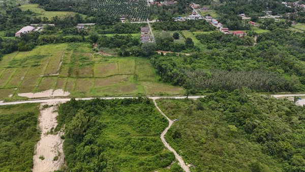 Kampung Bukit Sawa Azlina Homestay