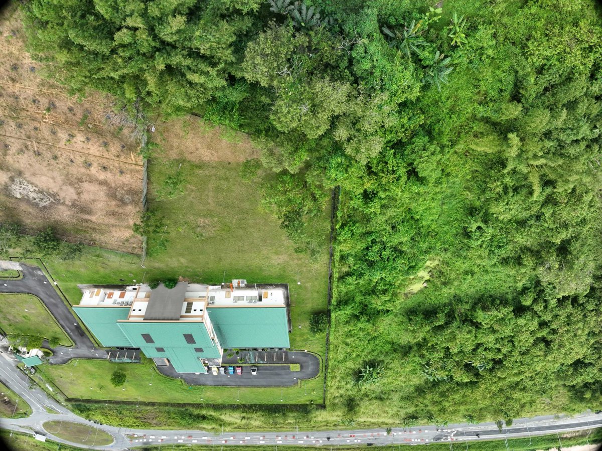 Malaysian Rubber Board Pengedar Shaklee Telipuk