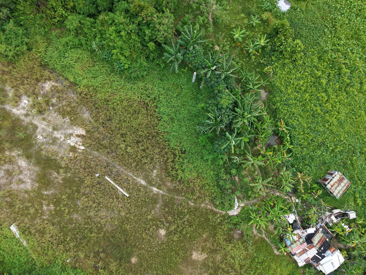 RENAISSANCE THE PAINTED VAULT BAZAAR Xcmg Excavator