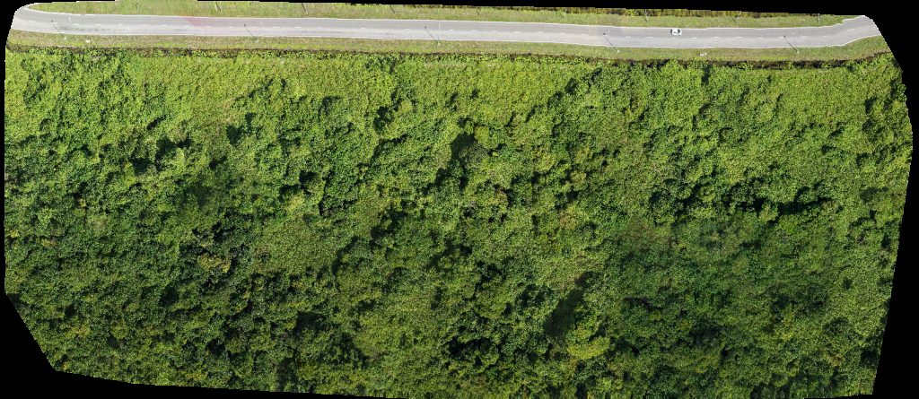 FORESCOM SARAWAK SDN BHD SS ICD Sg Tujoh