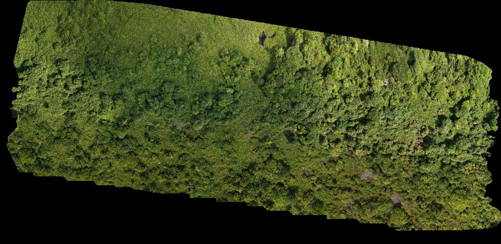 FORESCOM SARAWAK SDN BHD SS ICD Sg Tujoh