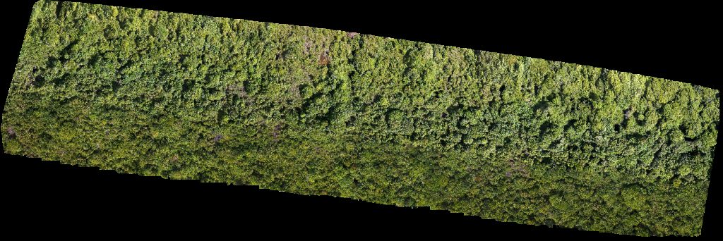 FORESCOM SARAWAK SDN BHD Ss sungai empat