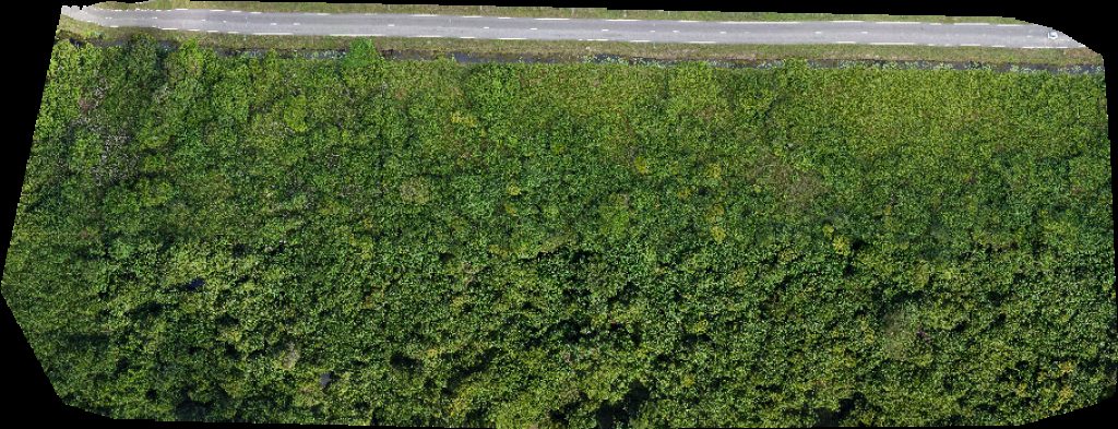 FORESCOM SARAWAK SDN BHD SS ICD Sg Tujoh