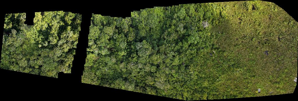 Borneo Agro Industries Sdn Bhd Ss sungai empat