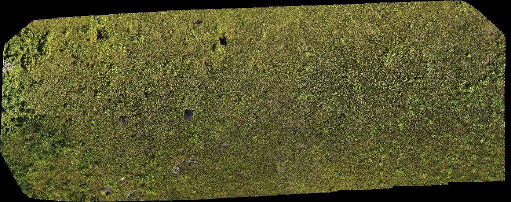 Borneo Agro Industries Sdn Bhd Syarikat Jaya NHSD