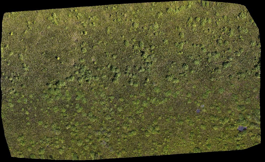 Borneo Agro Industries Sdn Bhd Syarikat Jaya NHSD