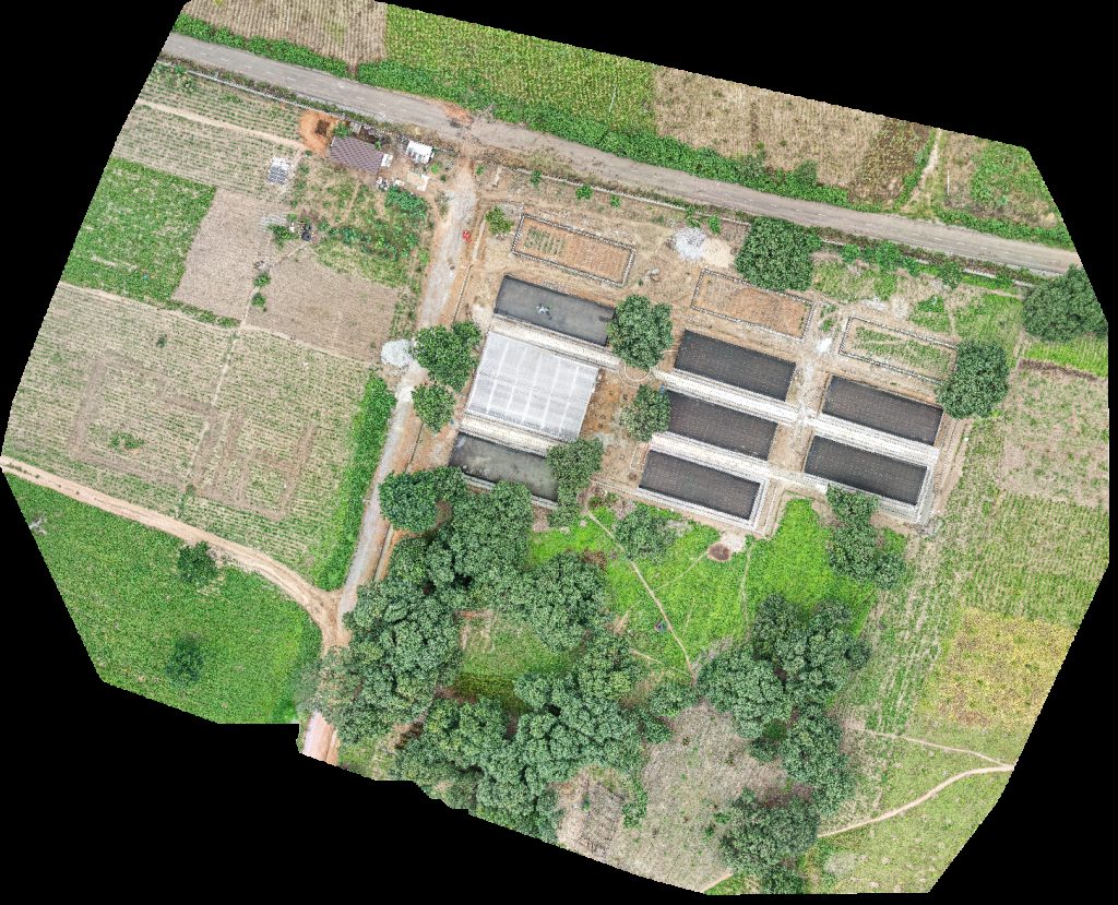 Total Child Academy Special Reports