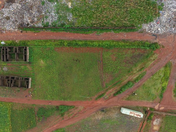 CKI Oils Ltd Oma ashira ventures