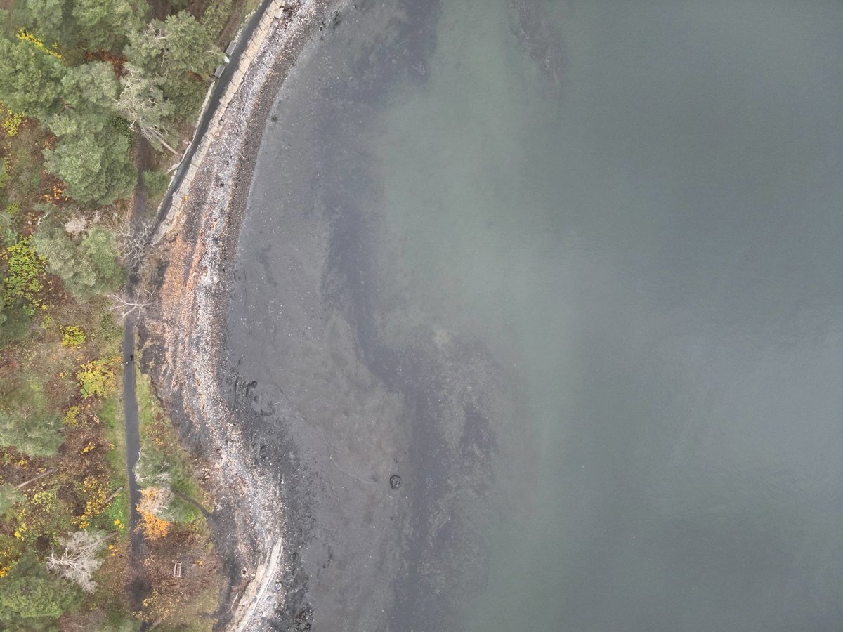 Vækerø walk Arve Nilsen