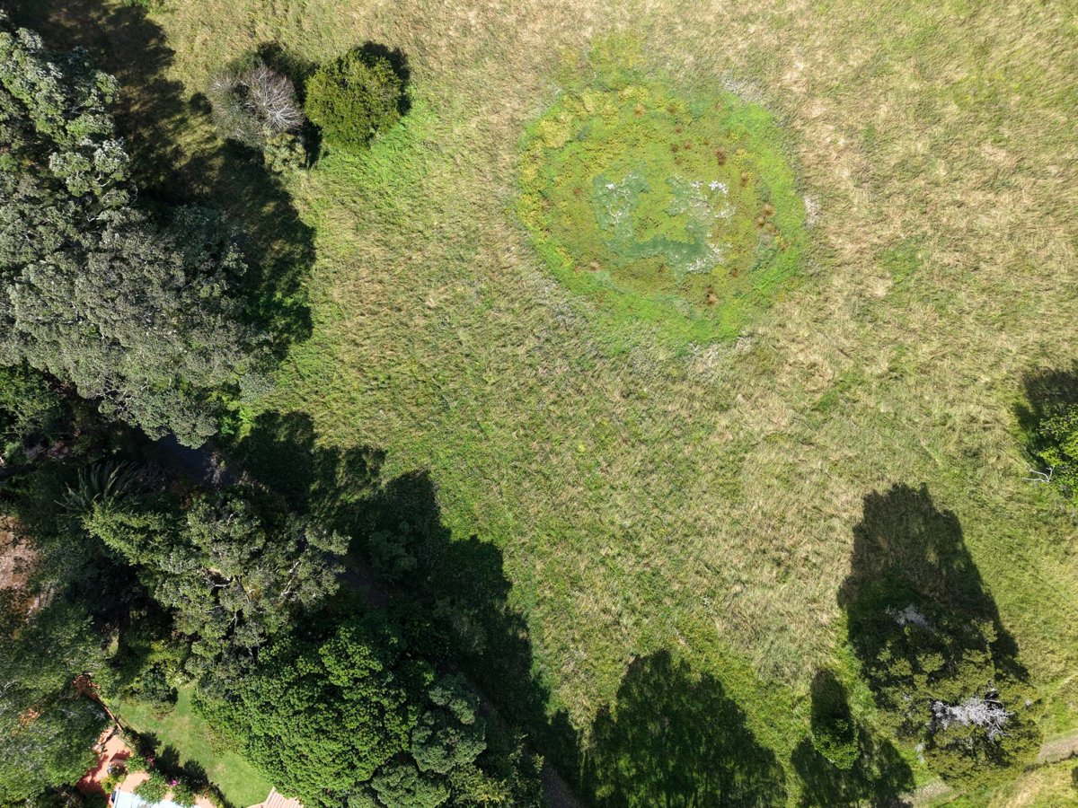 Te Kōpuke Tītīkōpuke Mount St John Saint entrance
