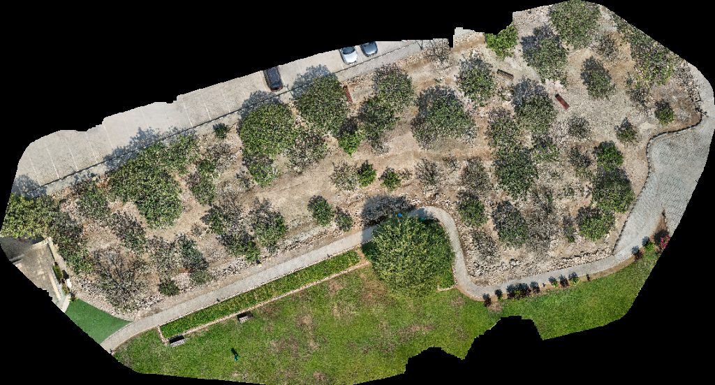 Al Baleed Archaeological Site Archeological Park