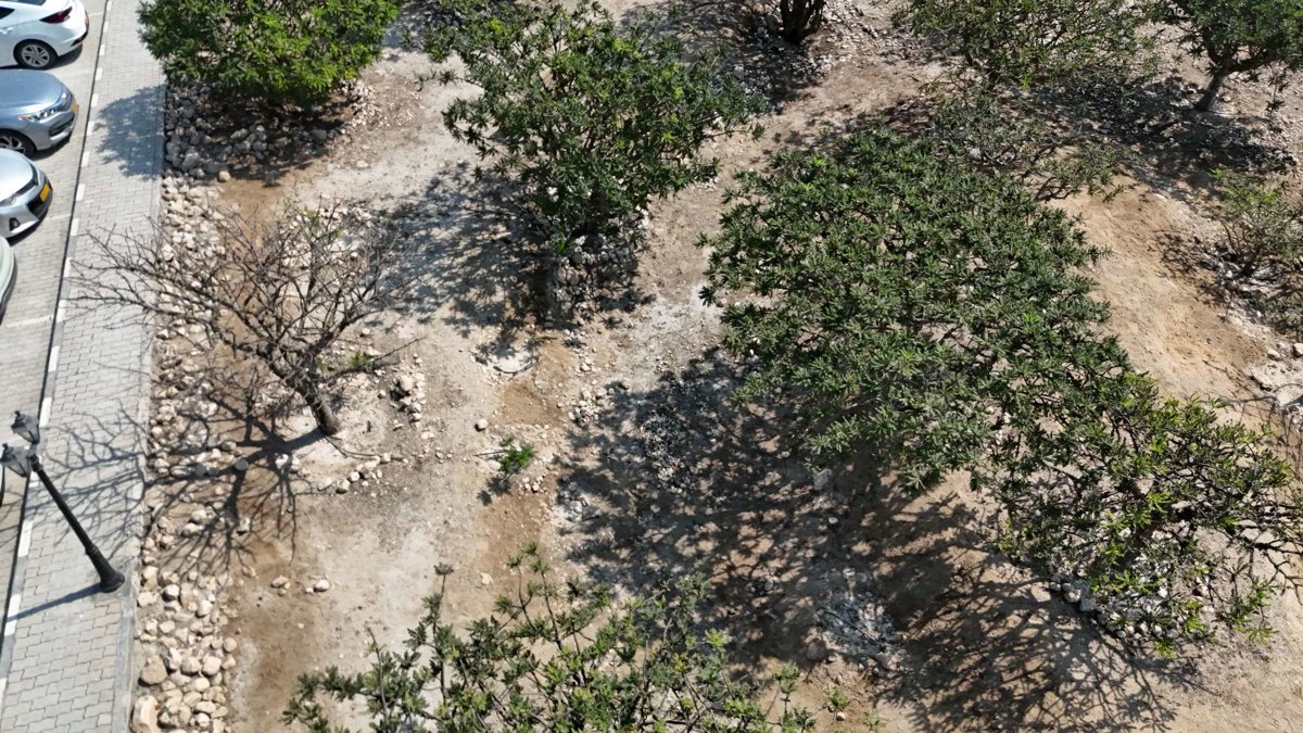 Al Baleed Archaeological Site Archeological Park