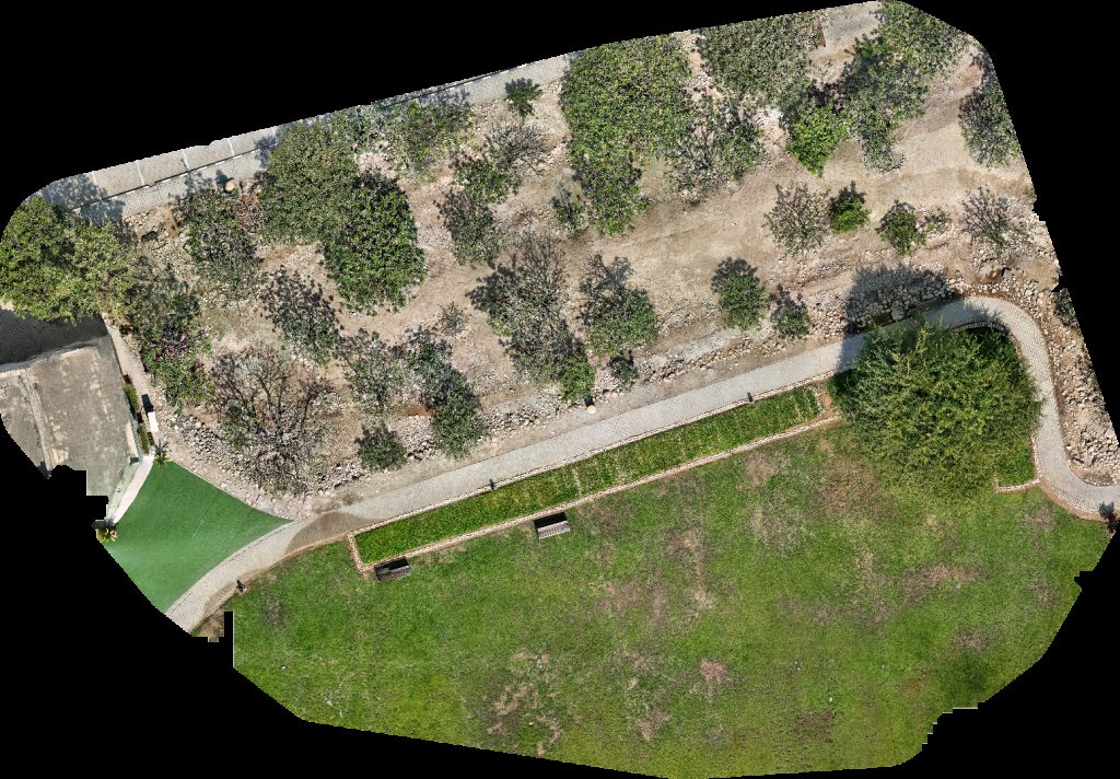 Al Baleed Archaeological Site Archeological Park