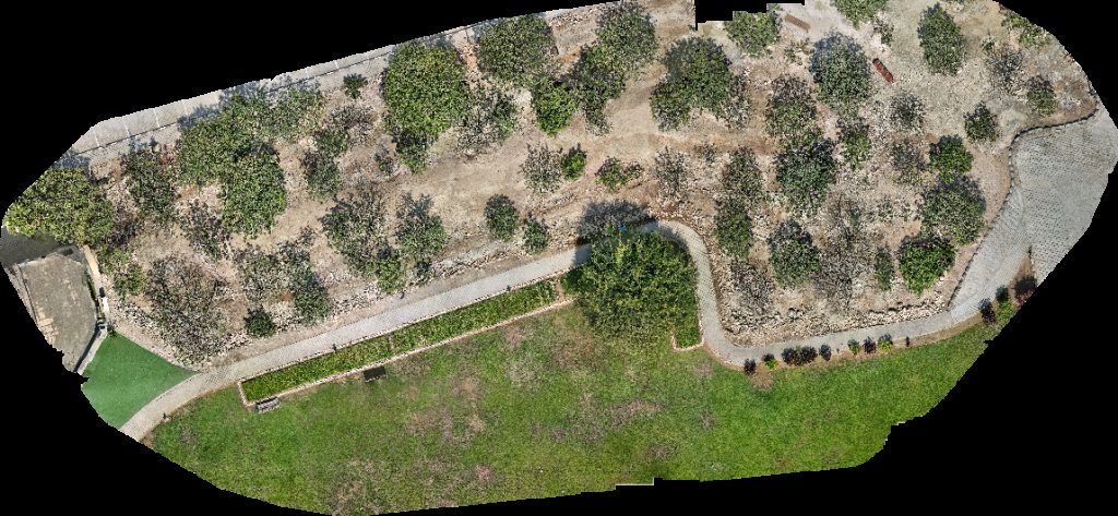 Al Baleed Archaeological Site Archeological Park